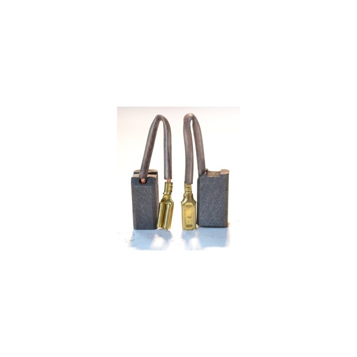 Charbon Dewalt pour perceuse DW505KS & marteau DW563K