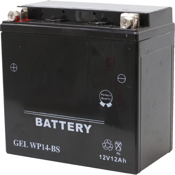 BATTERIE GEL 12V WP 12A