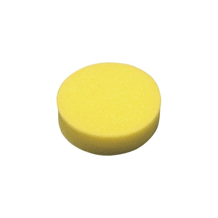 EPONGE A POLIR