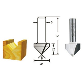 FRAISE RAINUR V Q6 D19 A90