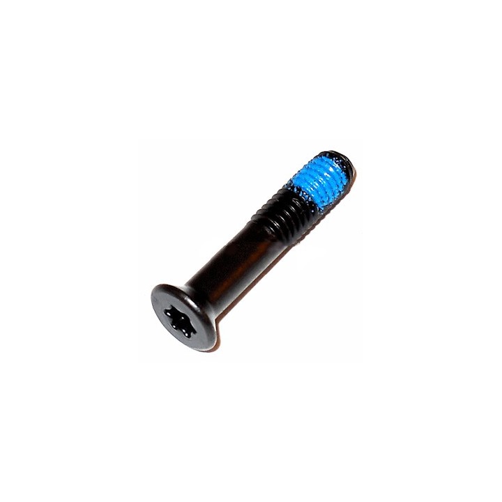 Vis M6x30 mandrin Bosch 2 609 110 635