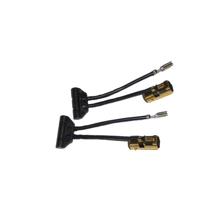 Porte-balai avec charbon Festool pour DTS 400, ES 150/3 EQ (Après 2000), ES 150/5 EQ, ETS 150 3 EQ 2, ETS 150 5 EQ 2, RTS 400